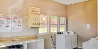 The Timbers at the Park Gallery 24