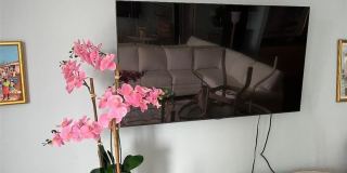 4001 Gulf Shore Blvd N unit: 505 Gallery 8