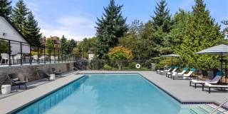 Montair at Somerset Hill Gallery 14