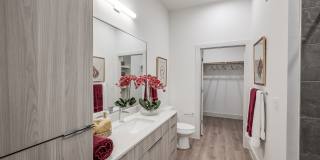Revl Med Center Gallery 47