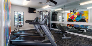 Carrington Lane Gallery 19