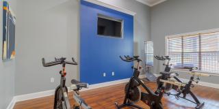 Carrington at Champion Forest Apartments Gallery 14