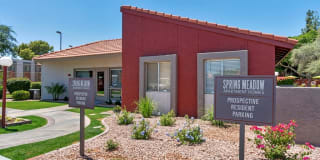 Spring Meadow Gallery 9