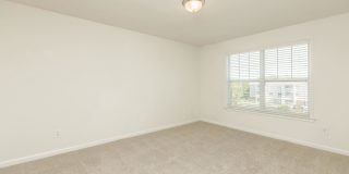 Willow Glen Gallery 65
