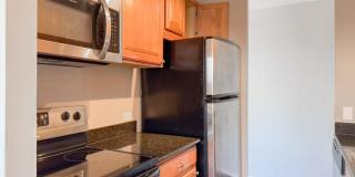 4332 Hazel Gallery 2