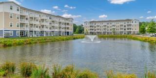 Carillon Woods Gallery 28