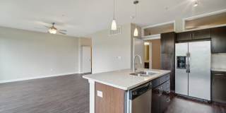 COLE COLE Gallery 20