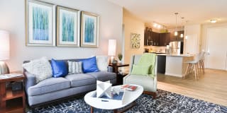 Olympus Steelyard Gallery 19