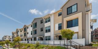 4618 Catmint Lane Gallery 1