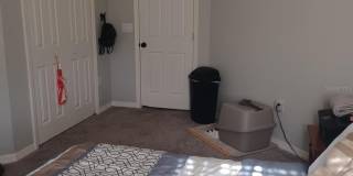 2917 FIELDWOOD Circle Gallery 9