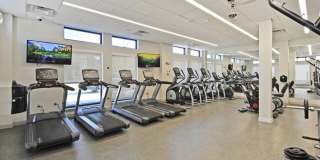 Orleans Landing Orleans Landing Gallery 12