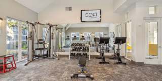 Sofi Sunnyvale Gallery 4