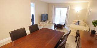 Renovated 2/2 in quite 55+ community Gallery 4