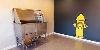 Summerfield Apartments Gallery 35