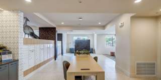 Encore NoVo Gallery 21
