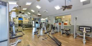 Paradise Island Gallery 26