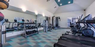 The Clara The Clara Gallery 14