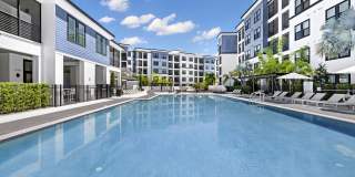 The Pointe on Westshore Gallery 2