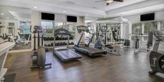 Savona Grand Gallery 22