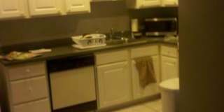 4314 Albert Gallery 3