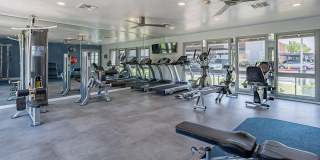 Parq on 50th Gallery 23