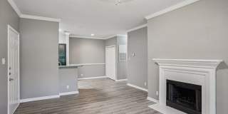 Bridford Lake Gallery 3