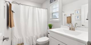 Sea Trace Gallery 11