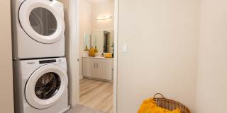 Solasta Solasta Gallery 6