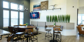Springs at McKinney Gallery 24
