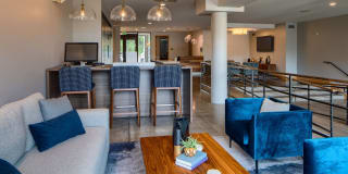 The Ellipse on Excelsior Gallery 25