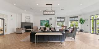 The Austin Gallery 1