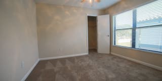 Palms of Clearwater Gallery 49