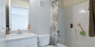 Chesterfield Gardens Gallery 6