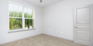 RIZE at Winter Springs Gallery 126