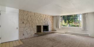 Dolphin Apartments Gallery 7