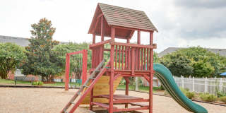 Trellis Pointe Gallery 6