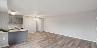 Grove at Alban Gallery 20