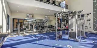 Arlington Heights Gallery 7