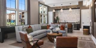 Alta Surprise Gallery 2