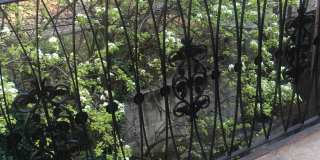 141-44 84th Rd Gallery 7