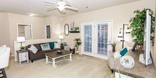 Clemmons Town Center Gallery 14