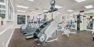 Victoria Place Gallery 71