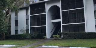 Pine Ridge at Tarpon Condo Gallery 1