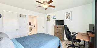 255 S. Ventura #238- MFR Gallery 23