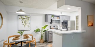 Treehouse Apartments Gallery 6