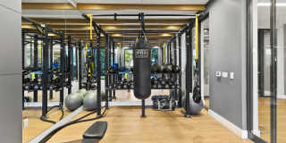 Oasis Pointe Gallery 7