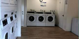 Stony Brook Gallery 5