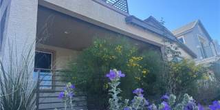 1051 E Sunset Road Gallery 1