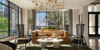 The Lafayette Gallery 35