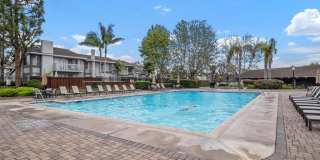 3341 Calle La Veta Gallery 40